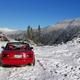 Illustration for article titled Miata vs. Wild